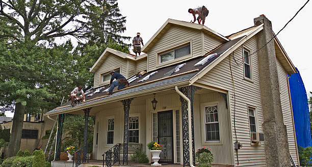 Best Roof Repair Services  in Farrell, PA